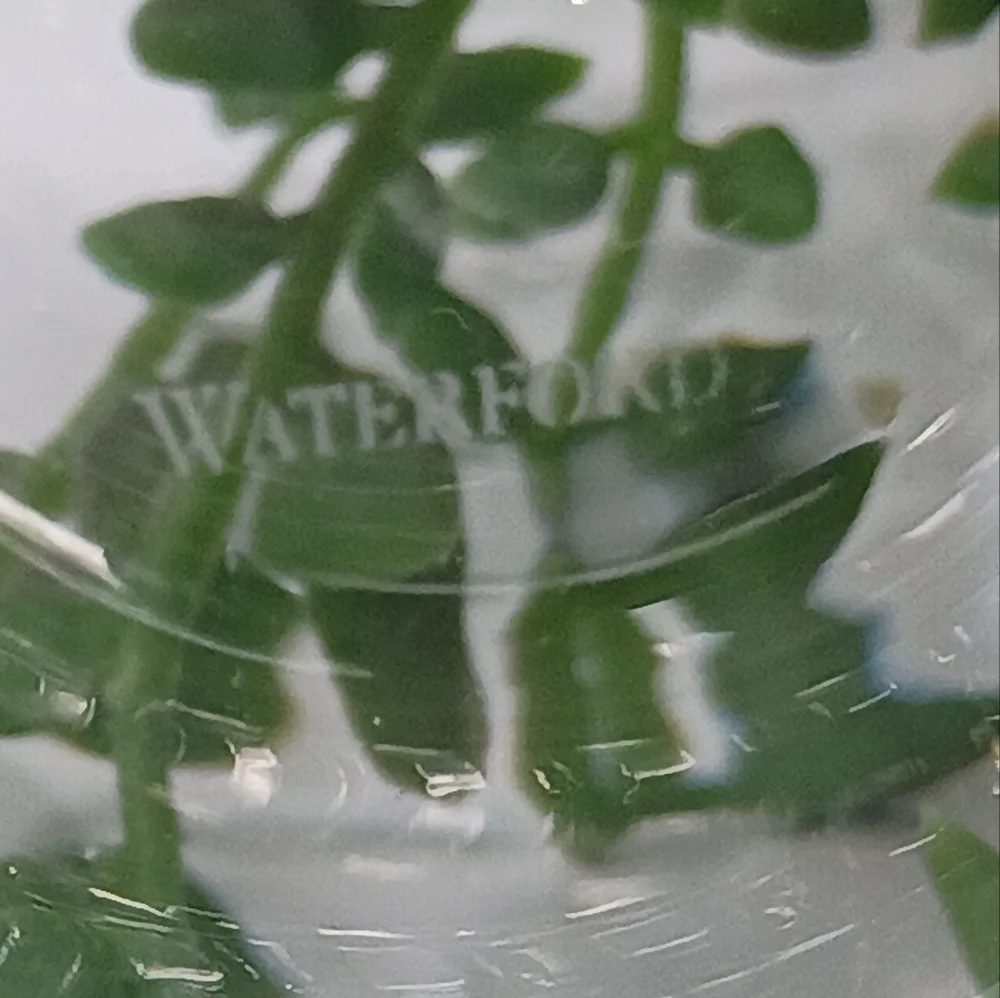 Elegant Waterford Crystal Tumblers